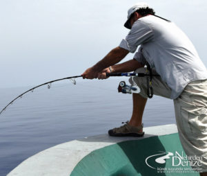 Bahadır Çapar, Orkinos Oltacılığı, Tuna angling, Omoto Severo 5000